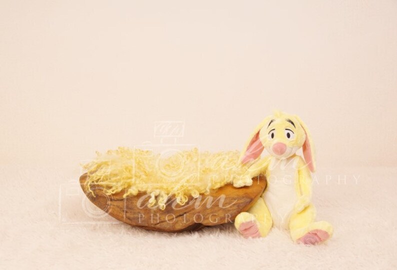 Newborn Digital Backdrop Winnie Pooh Rabbit Animal Cartoon Baby Boy Girl Composite Background Sale