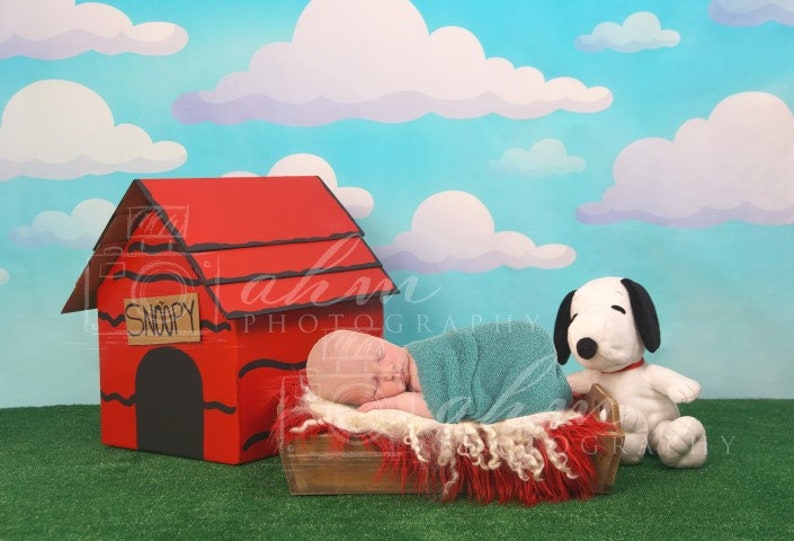 Newborn Digital Backdrop Boy Girl Baby Snoopy Dog Etsy
