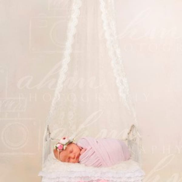 Newborn Digital Backdrop Canopy Princess Girl Bed  Shabby Chic Baby Elegant Lace Composite Background Sale