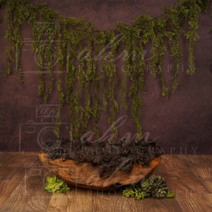 Pano de fundo digital para recém-nascidos, menino, menina, orgânico, pendurado, videira, vegetação, cama de madeira, tigela, adereço para bebê, fundo composto, download instantâneo.