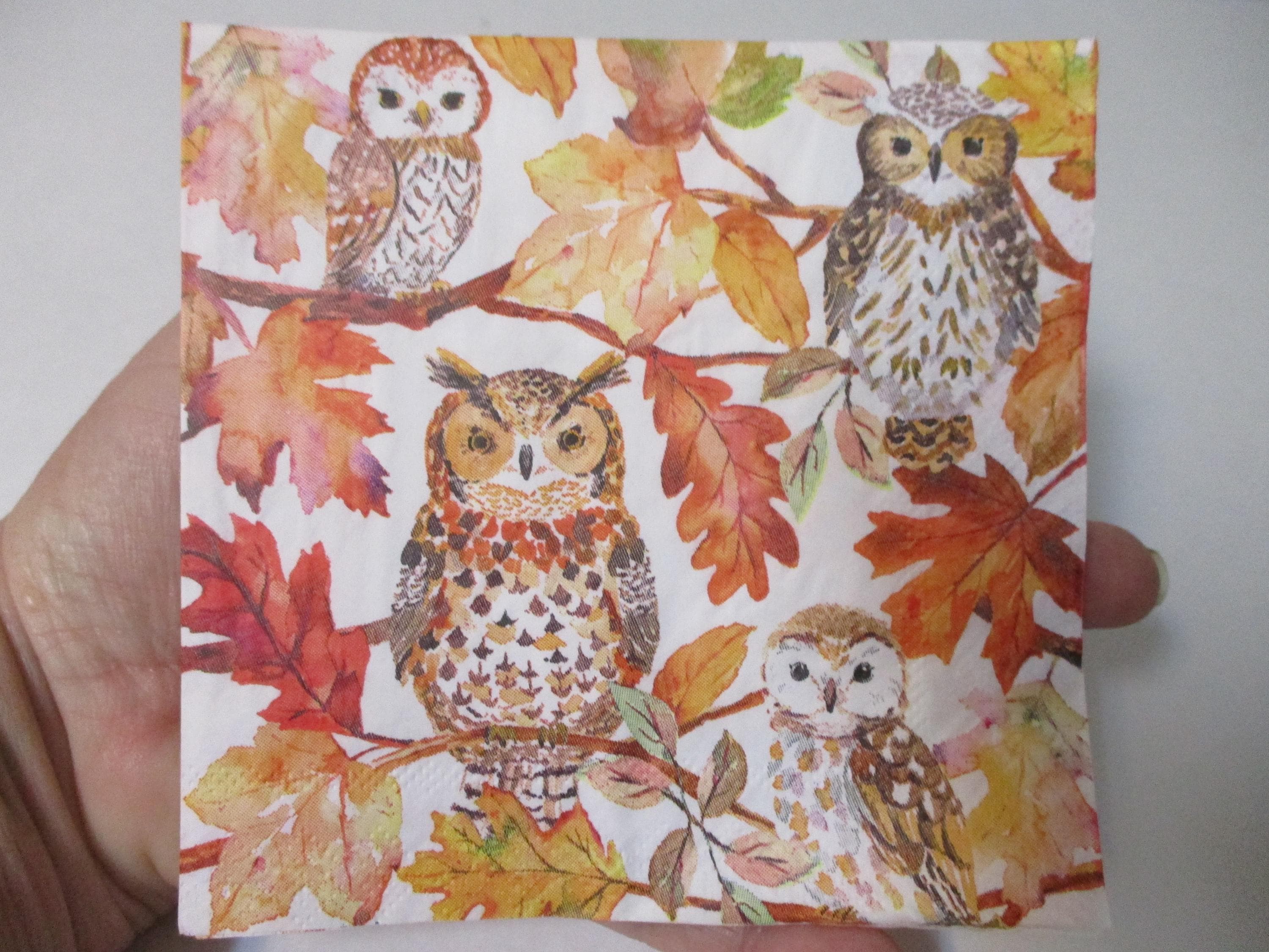 2-Fall Owls Cocktail Decoupage Napkins-Fall Decoupage Napkins-Fall Collage Napkins-Owl In A Tree Nap
