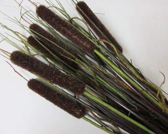 LARGE Artificial Cattails