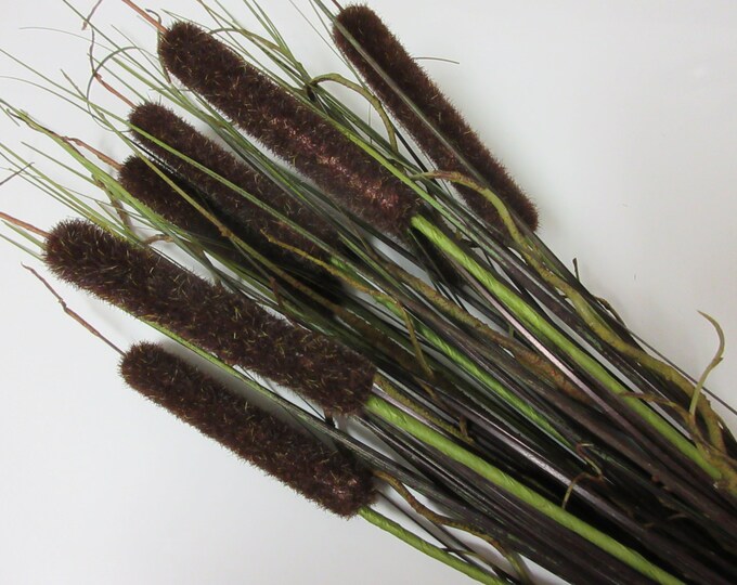 LARGE Artificial Cattails Etsy