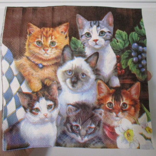 2-Realistic Kittens Luncheon Decoupage Napkins-Cat Decoupage Napkins-Kitten Portrait Napkins