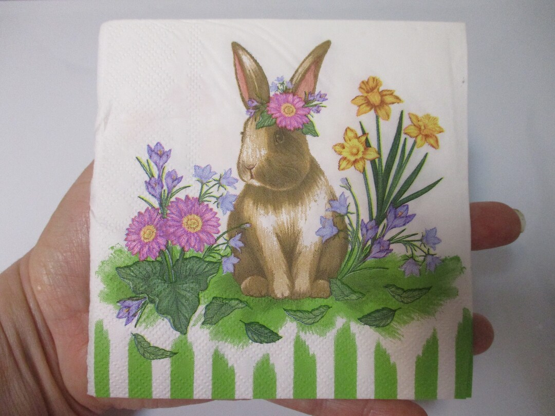 2easter Bunny Scene Cocktail Decoupage Napkinseaster Decoupage