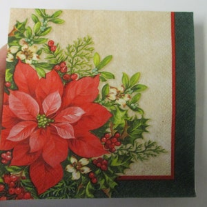 May include: A red poinsettia flower with green leaves and red berries on a cream background with a green and red border.