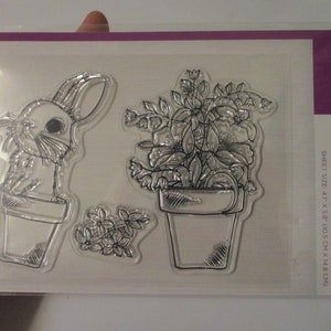 May include: Clear acrylic stamp set featuring a rabbit in a pot, a floral arrangement in a pot, and a small cluster of flowers. The set is labeled "Rabbit's Garden" and measures 4.1" x 5.8" (10.5 cm x 14.8 cm).