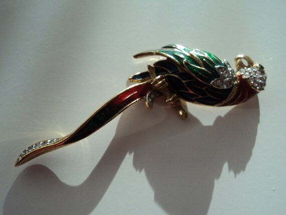 Attwood & Sawyer Parrot brooch - image 2