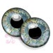 see more listings in the Blue EYE CHIPS section