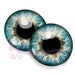 see more listings in the Blue EYE CHIPS section
