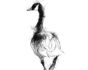 Canada goose | Limited edition fine art print from original drawing. Free shipping.