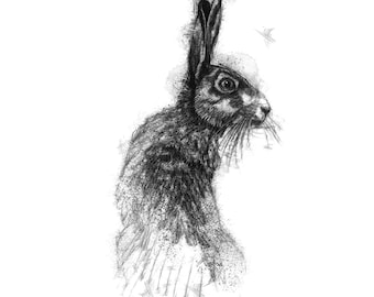 Brown hare sketch | Limited edition fine art print from original drawing. Free shipping.