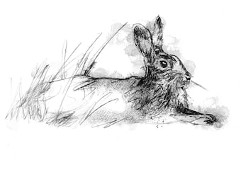 Rabbit relaxing sketch | Limited edition fine art print from original drawing. Free shipping.