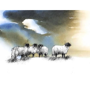 Schapen bij zonsopgang schetsen | Limited edition fine art print van originele tekening. Gratis verzending.