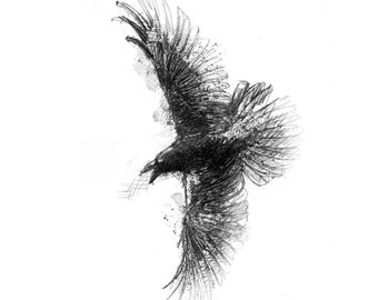 Crow flight sketch | Limited edition fine art print from original drawing. Free shipping.