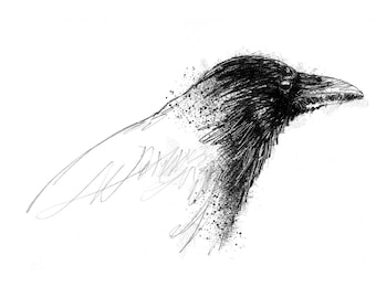 Crow sketch | Limited edition fine art print from original drawing. Free shipping.