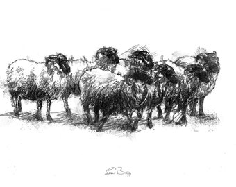 Sheep flock sketch | Limited edition fine art print from original drawing. Free shipping.