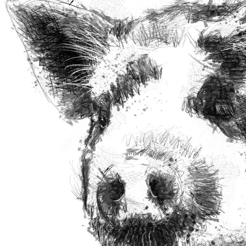 Free shipping. Spotted piglet Limited edition fine art print from original drawing