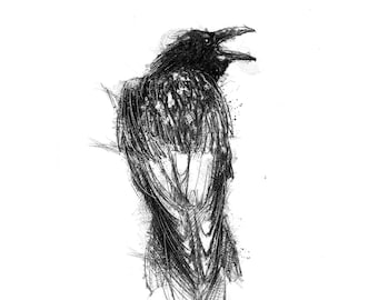 Crow sketch | Limited edition fine art print from original drawing. Free shipping.