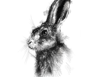 Brauner Hase Skizze | Limitierter Kunstdruck von Originalzeichnung. Kostenloser Versand.