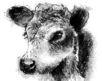 Bull calf sketch | Limited edition fine art print from original drawing. Free shipping.