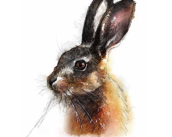 European brown hare | Limited edition fine art print from original drawing. Free shipping.