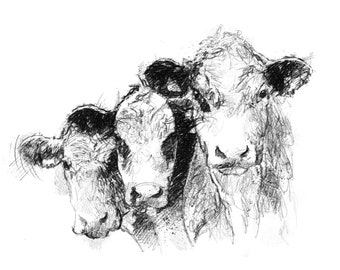 Happy cows sketch | Limited edition fine art print from original drawing. Free shipping.