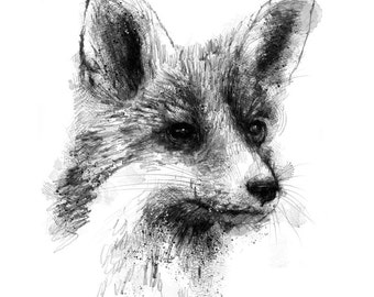 Red fox sketch | Limited edition fine art print from original drawing. Free shipping.