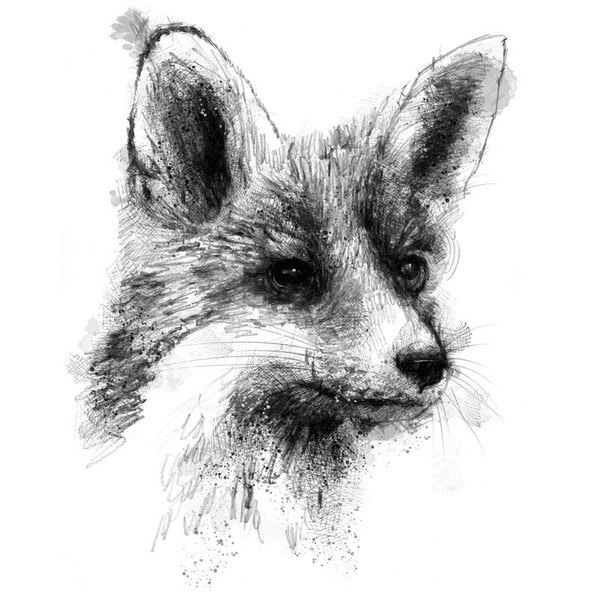Red fox sketch | Limited edition fine art print from original drawing. Free shipping.