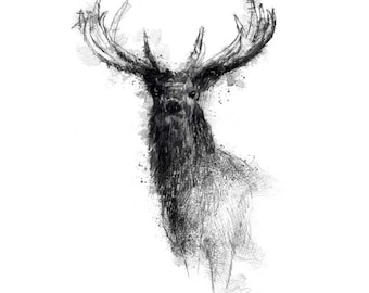 Red stag sketch | Limited edition fine art print from original drawing. Free shipping.