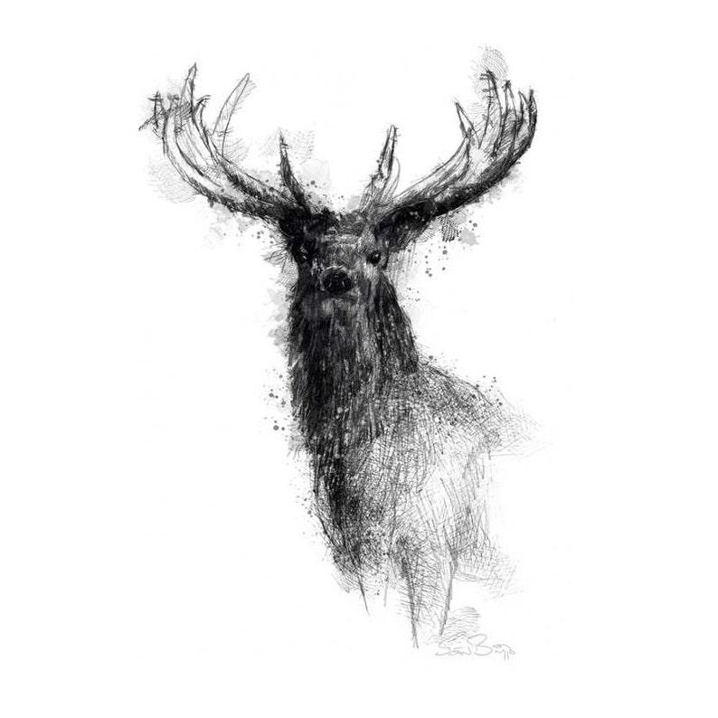 Red stag sketch Limited edition fine art print from original drawing. Free shipping. image 1