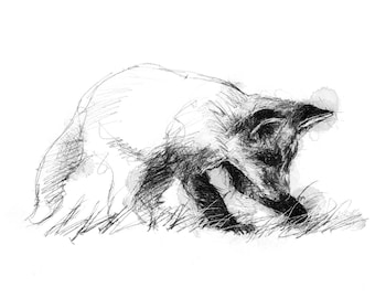 Curious fox cub sketch | Limited edition fine art print from original drawing. Free shipping.