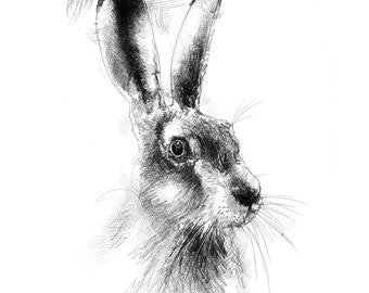 European brown hare | Limited edition fine art print from original drawing. Free shipping.