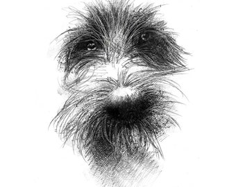 Scruffy dog | Limited edition fine art print from original drawing. Free shipping.