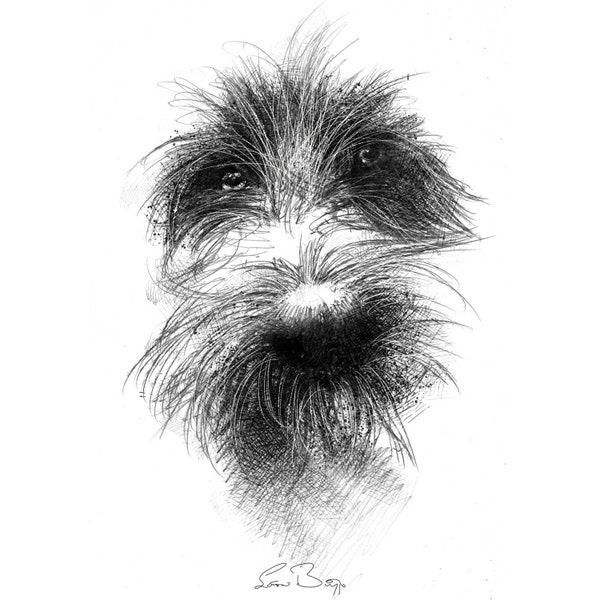 Scruffy dog | Limited edition fine art print from original drawing. Free shipping.