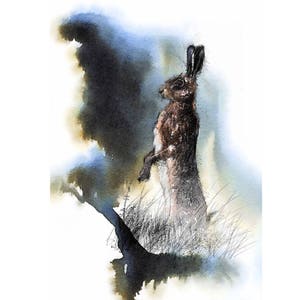 Brown hare keeping watch | Limited edition fine art print from original drawing. Free shipping.