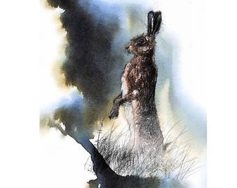 Brown hare keeping watch | Limited edition fine art print from original drawing. Free shipping.