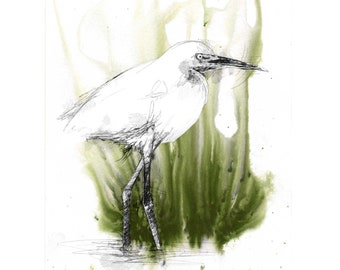 White egret sketch | Limited edition fine art print from original drawing. Free shipping.
