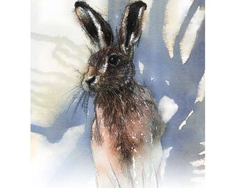 Brown hare alert sketch | Limited edition fine art print from original drawing. Free shipping.