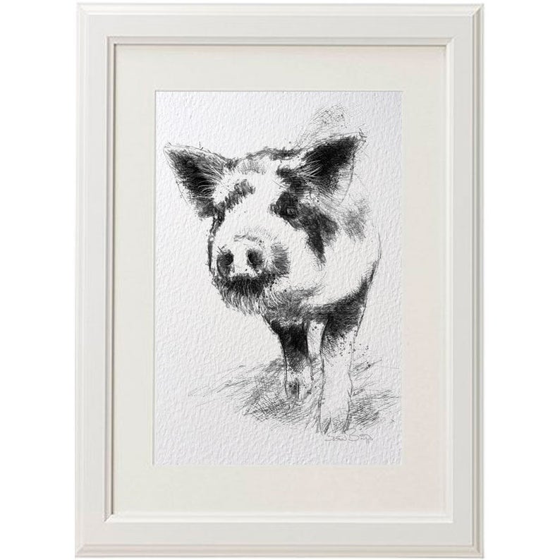 Free shipping. Spotted piglet Limited edition fine art print from original drawing