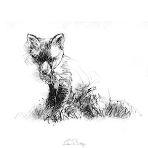 May include: A black and white pencil drawing of a fox cub sitting on the ground. The fox cub is looking down at the ground. The drawing is done in a realistic style.
