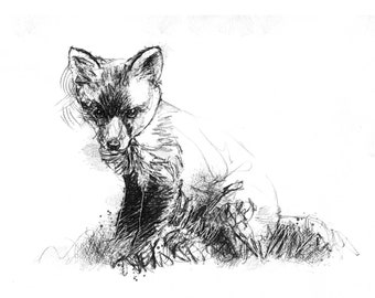 Fox cub sitting sketch | Limited edition fine art print from original drawing. Free shipping.