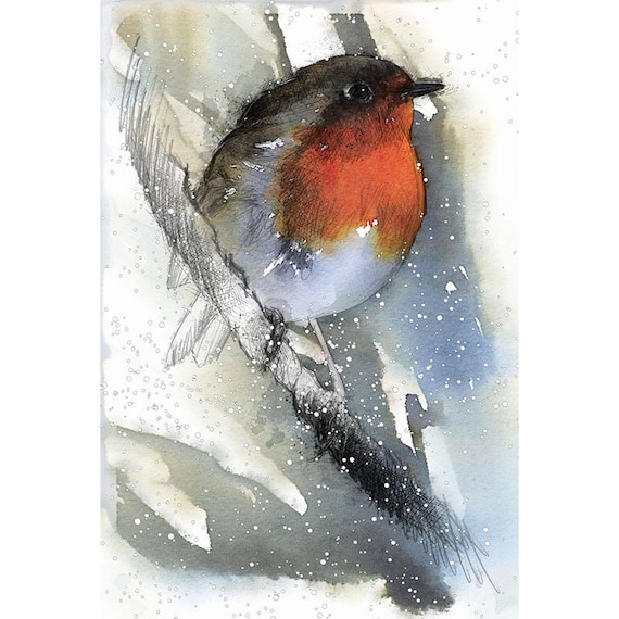 Robin winter Limited edition fine art print from original drawing Free shipping.