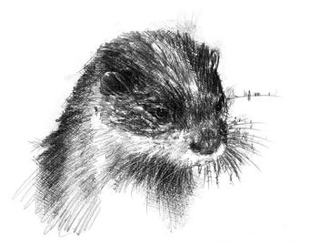 Soaking otter | Limited edition fine art print from original drawing. Free shipping
