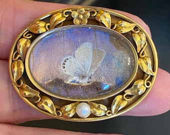 May include: A gold-toned brooch with a delicate floral design surrounding a glass oval containing a preserved butterfly. A single pearl is centered at the bottom of the brooch.