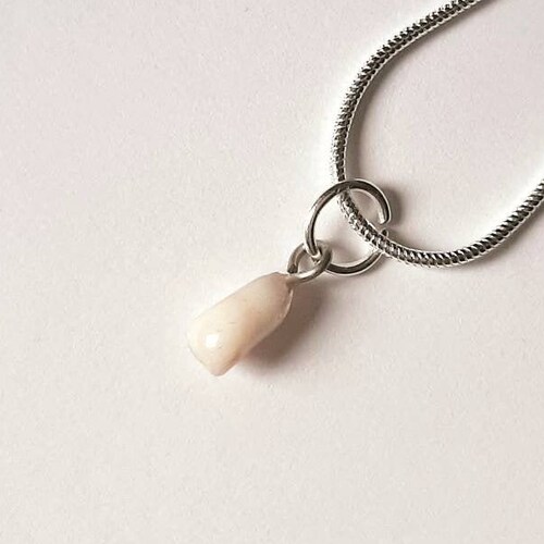 Personalized Dog Tooth Necklace Baby or Pet Tooth Jewelry Etsy