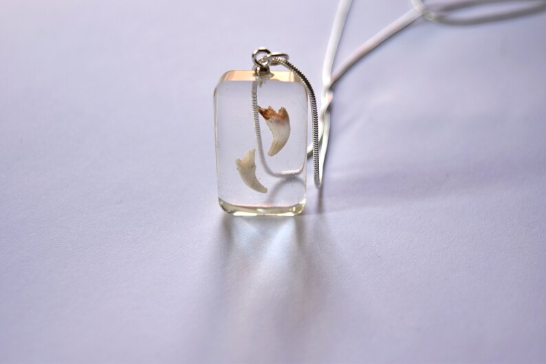 Personalized dog tooth necklace Baby or pet tooth jewelry Etsy