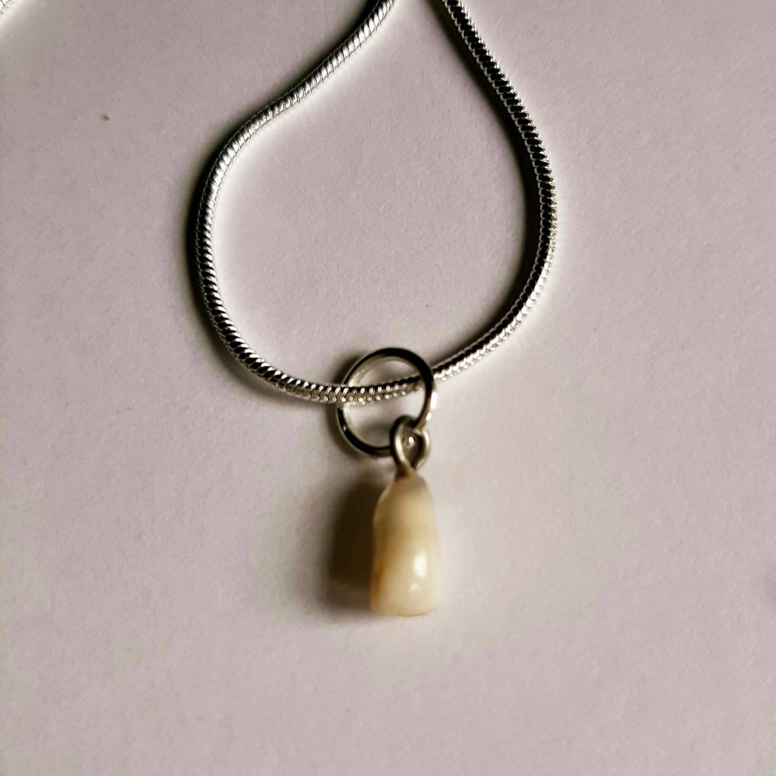 Personalized Baby Tooth Jewelry Custom Pet Teeth Pendant Etsy