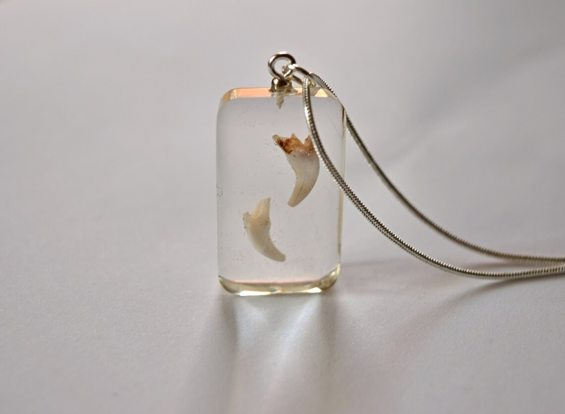 Personalized Dog Tooth Necklace Baby or Pet Tooth Jewelry Etsy