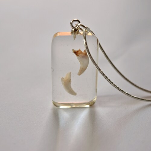 Personalized Baby Teeth Keepsake Container Etsy